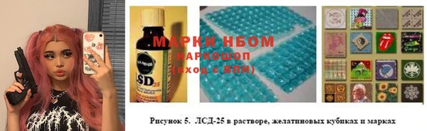apvp Белокуриха