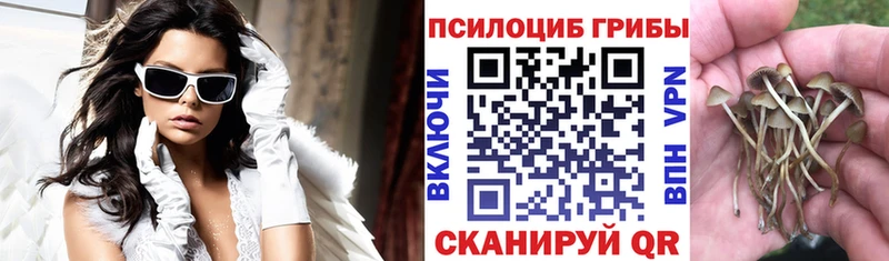 Псилоцибиновые грибы Magic Shrooms Магас
